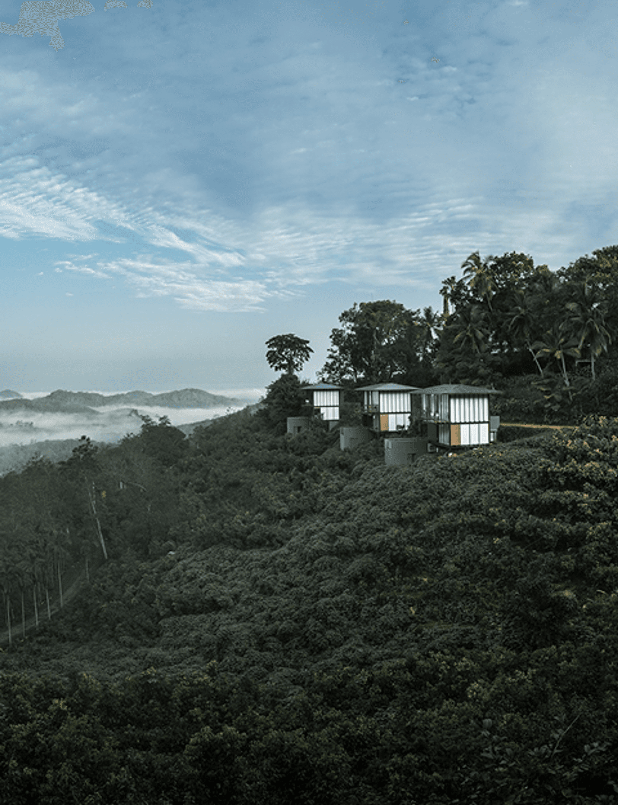 Nature Immersion