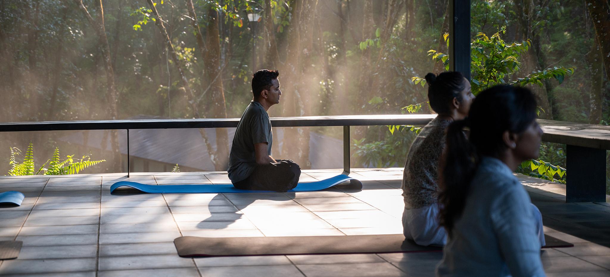 Meditation
