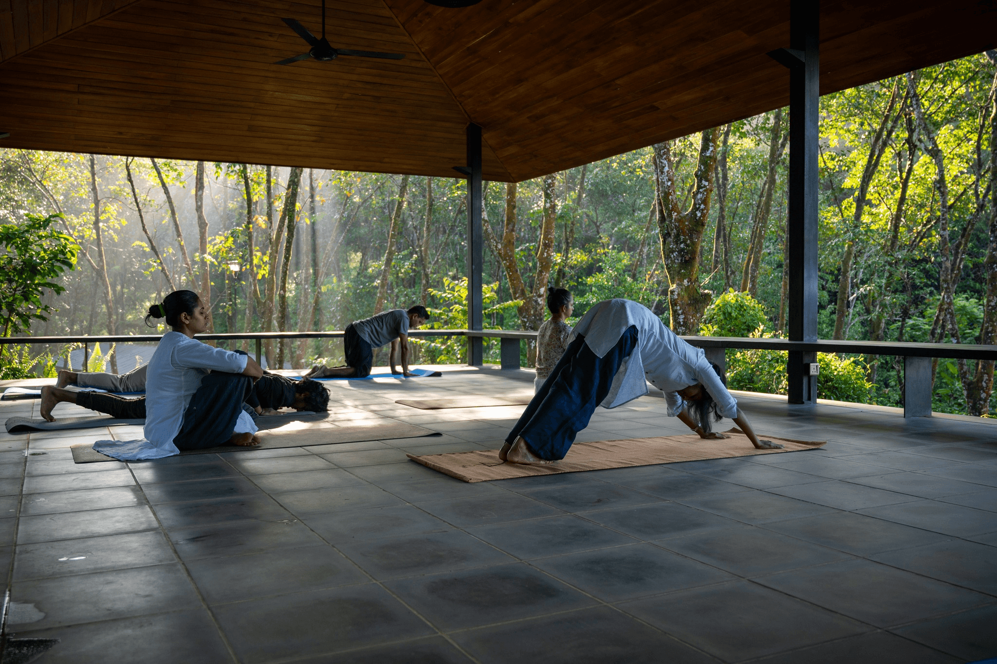 Guests practising guided yoga in an open-air pavilion overlooking a scenic forest