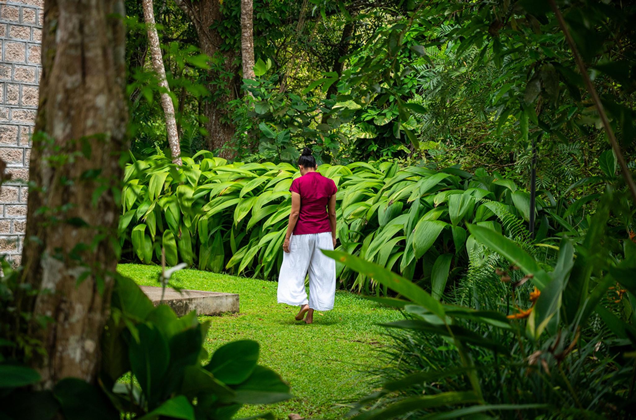 Guided Walking Experience (2)