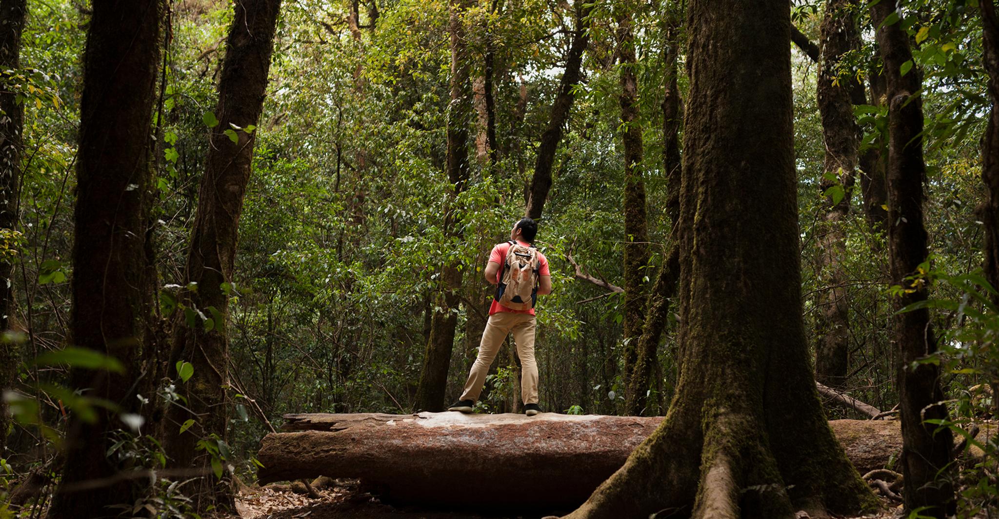Guest enjoying a scenic walk through the forest