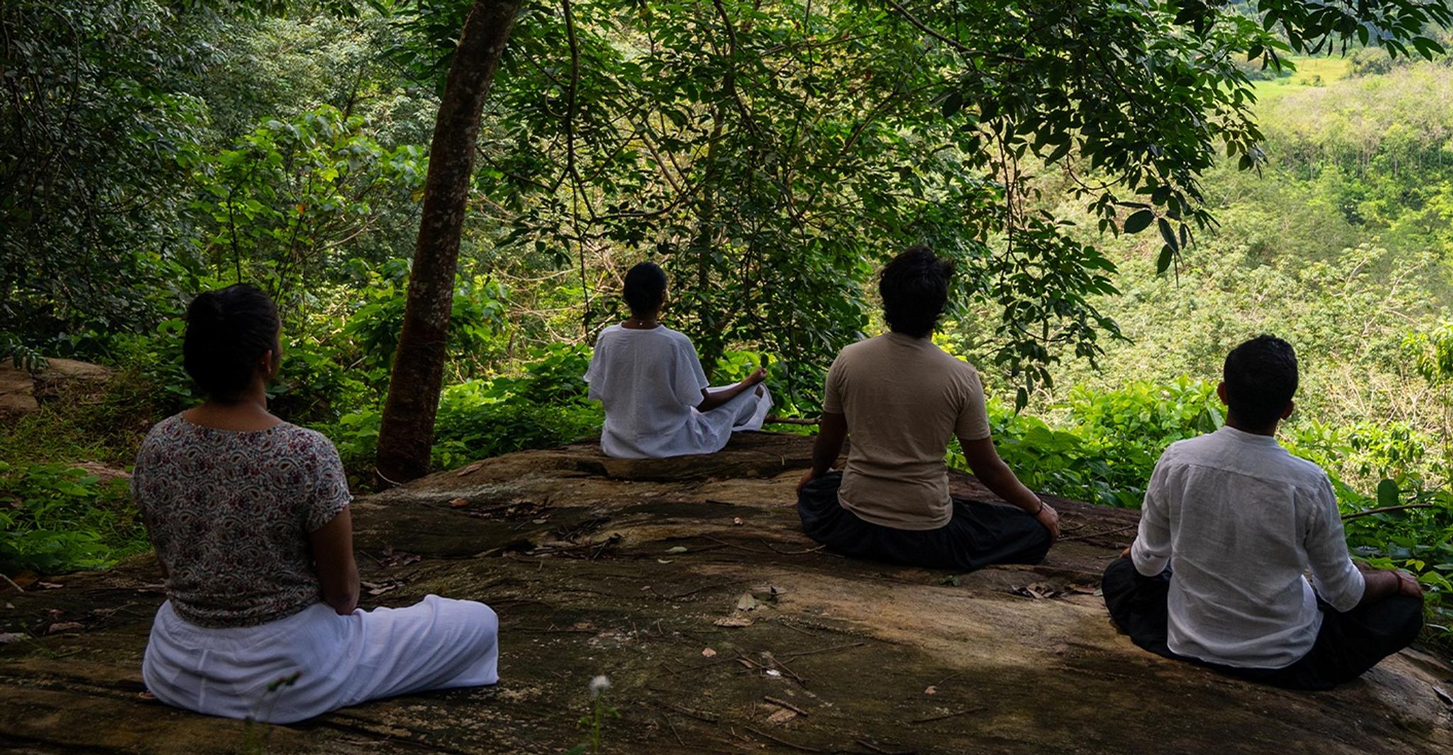 Guests enjoying guided meditation surrounded by nature