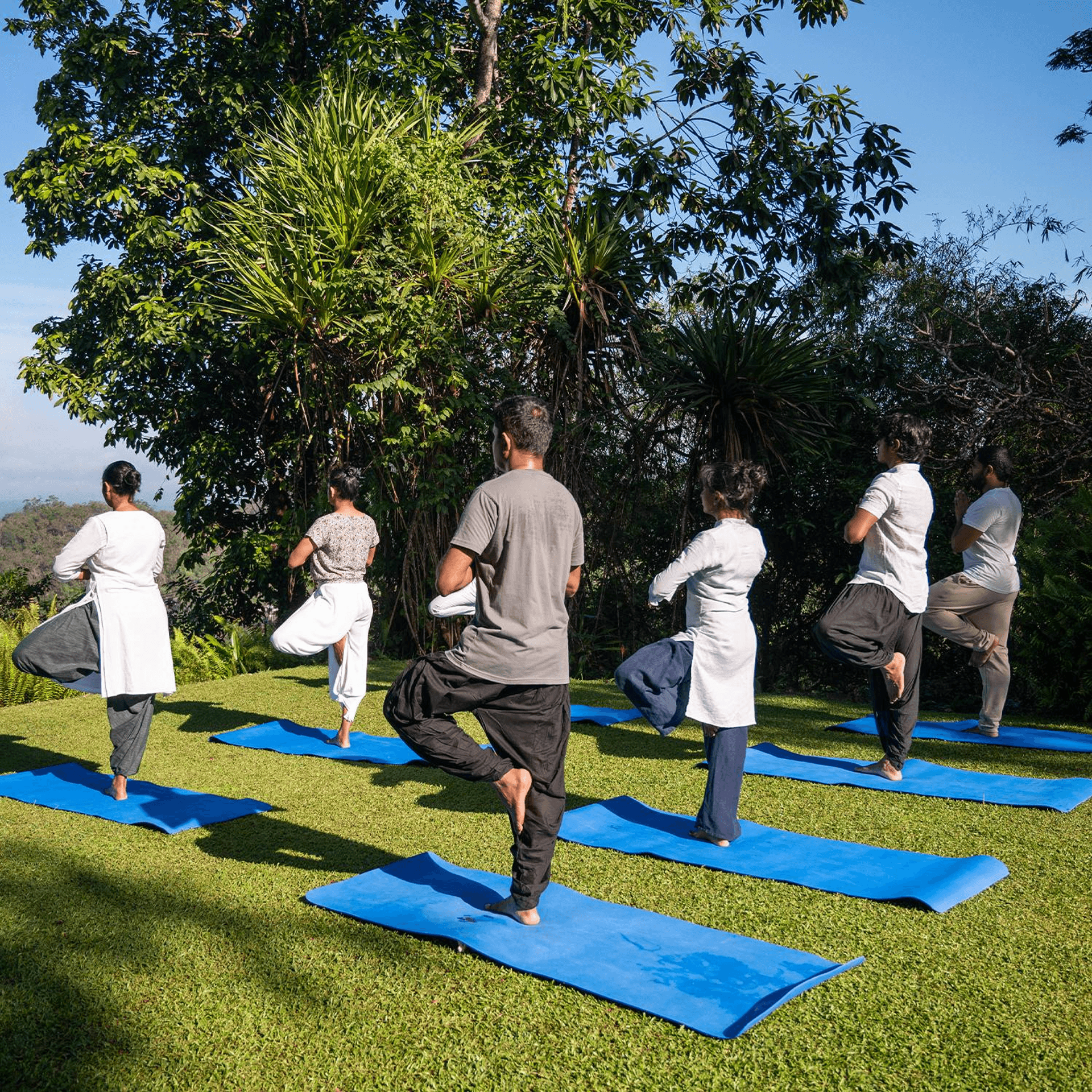 Wellness