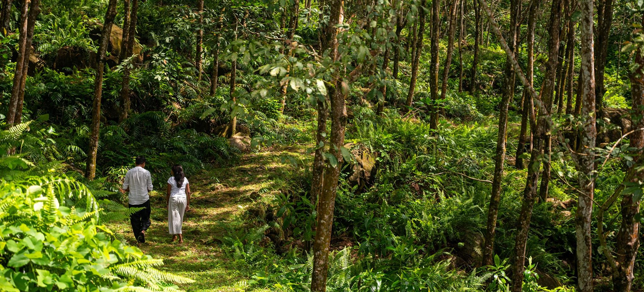 Guided Walking Experience (1)
