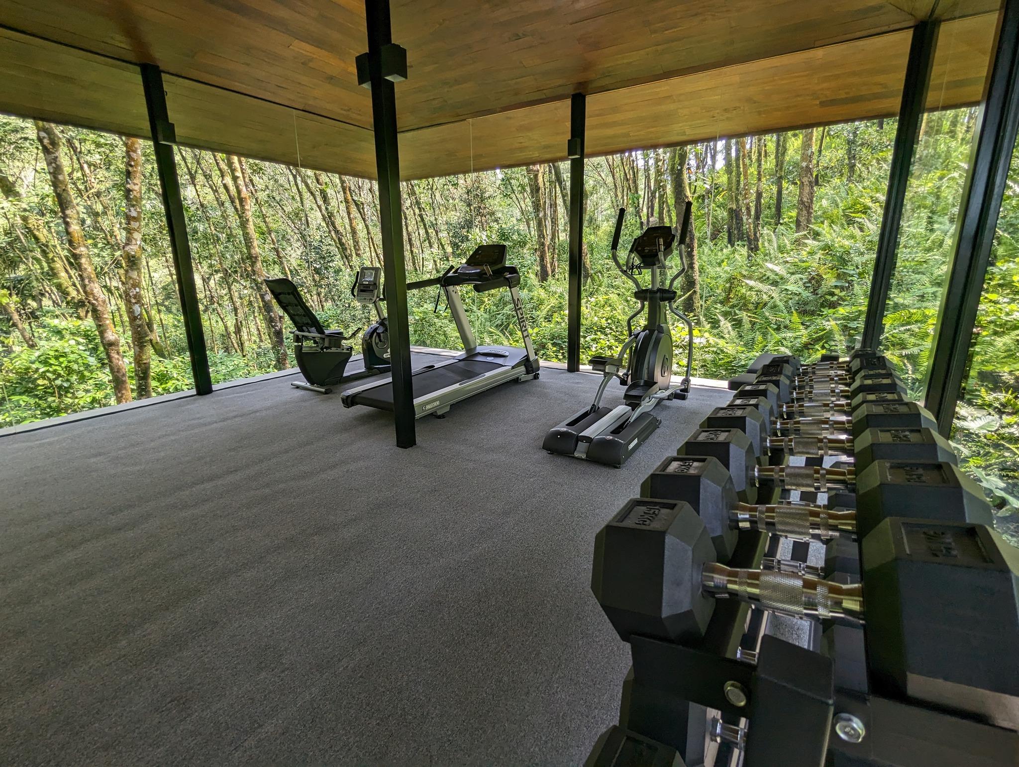 Article 6   Images (1)