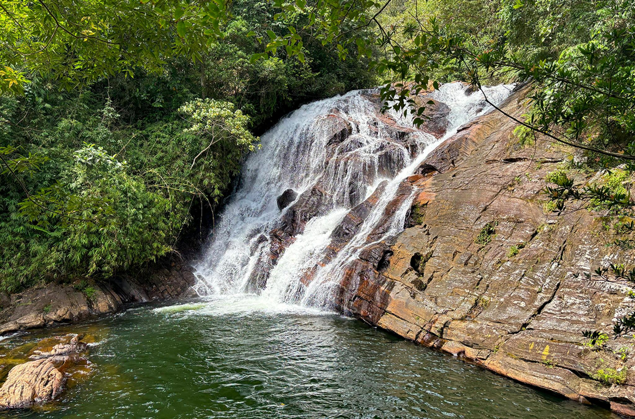 Sinharaja Experience (2)