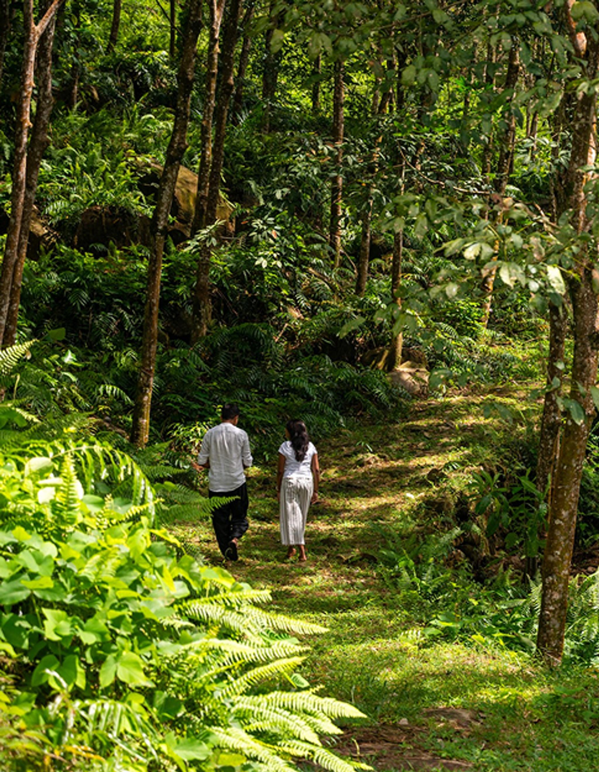 Guided Walking Meditation