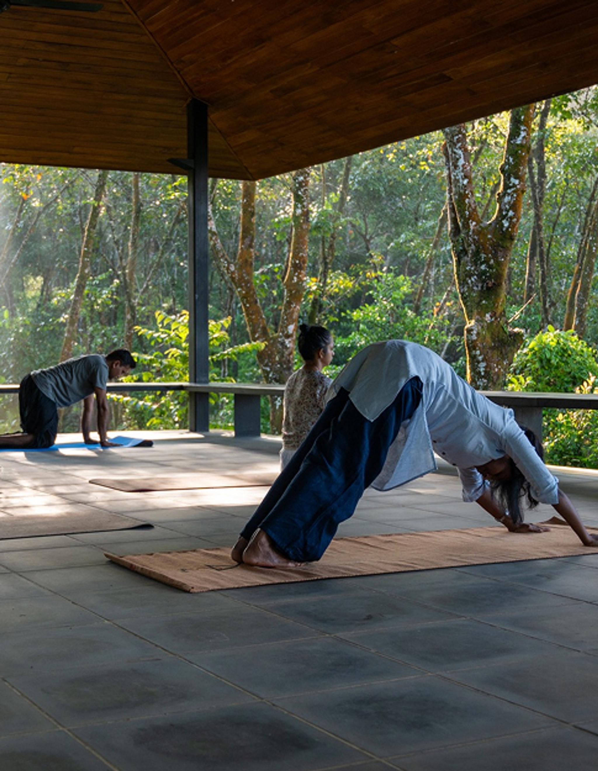 Yoga for Beginners