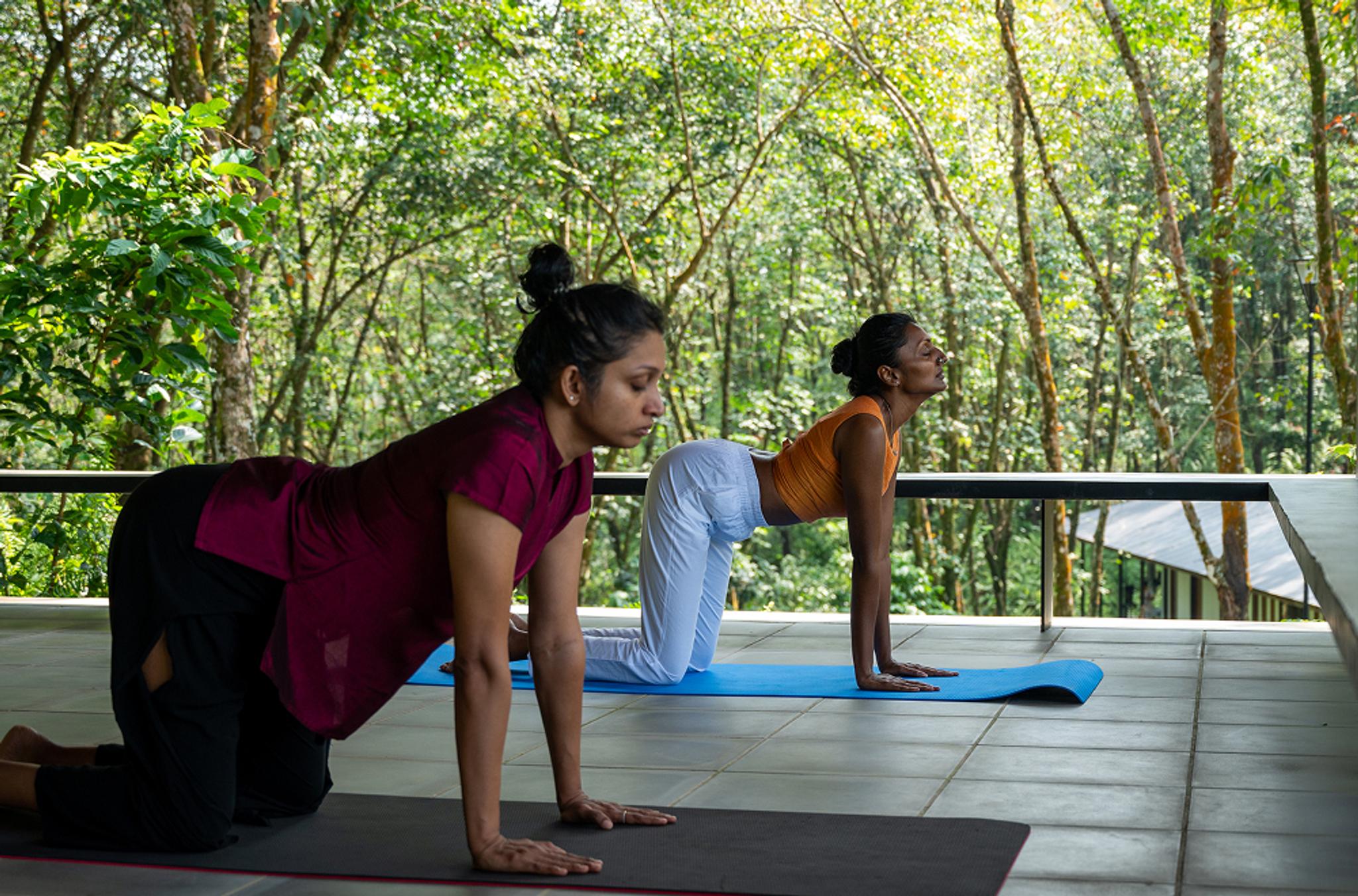 Yoga Retreat