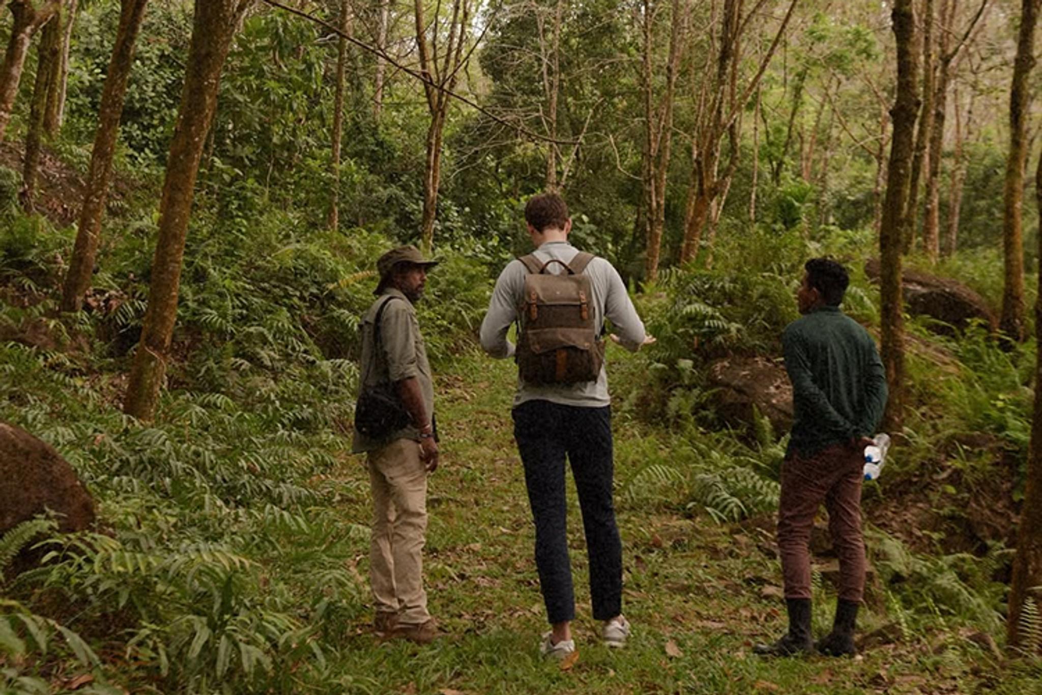 Guests enjoying a guided walk through a scenic forest