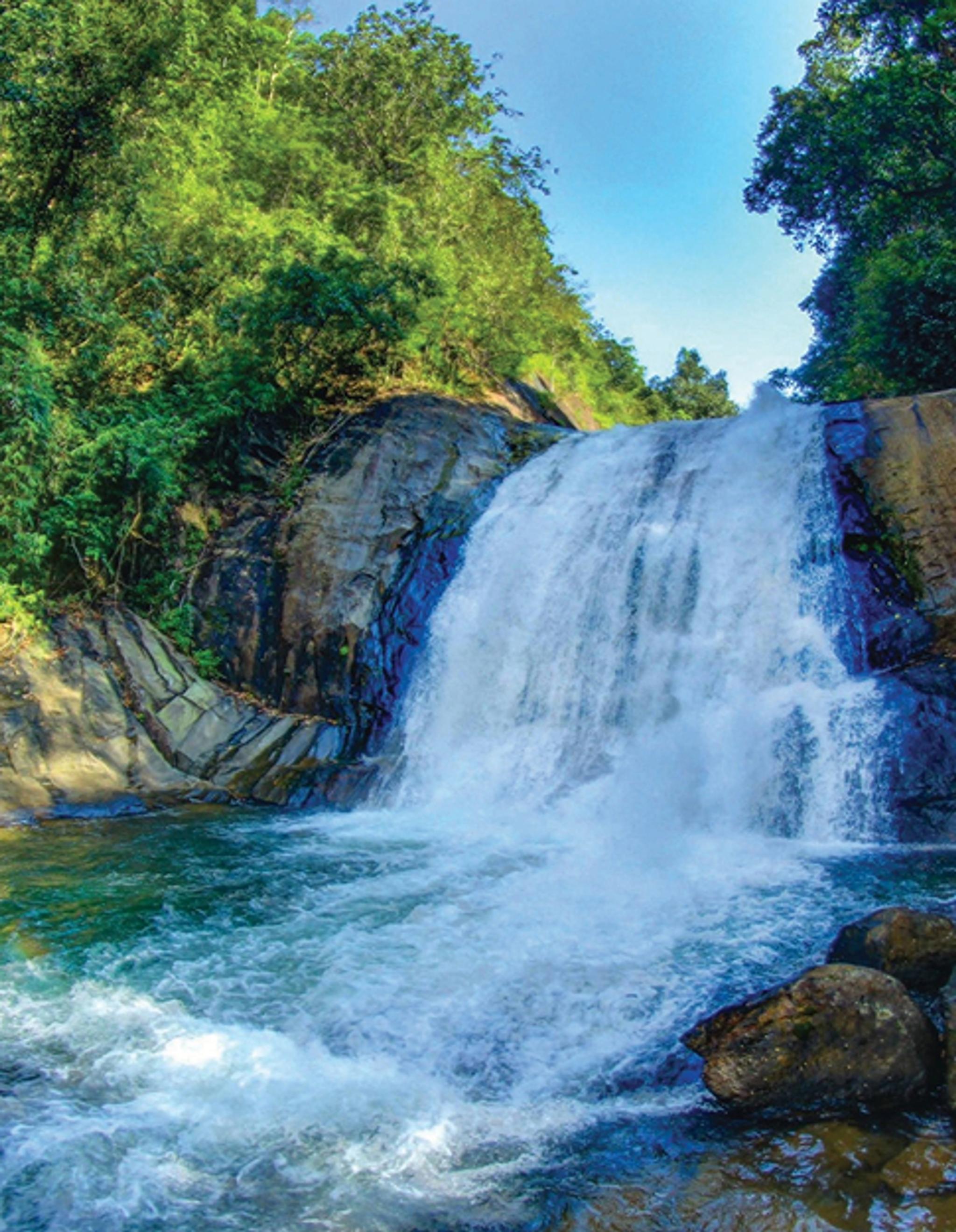 Waterfall surrounded by nature
