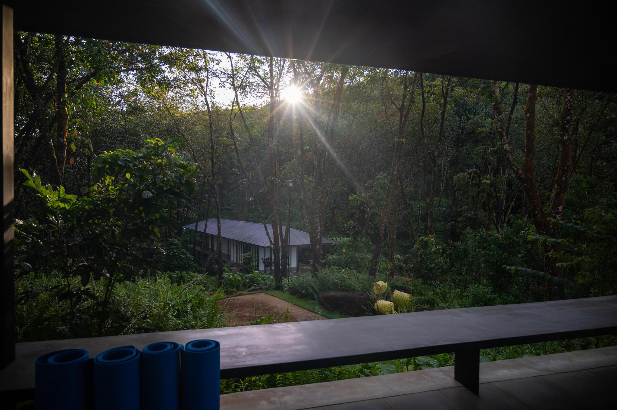 Exploring the Serene Forest Plantation at Glenross Living in Kalutara (1)