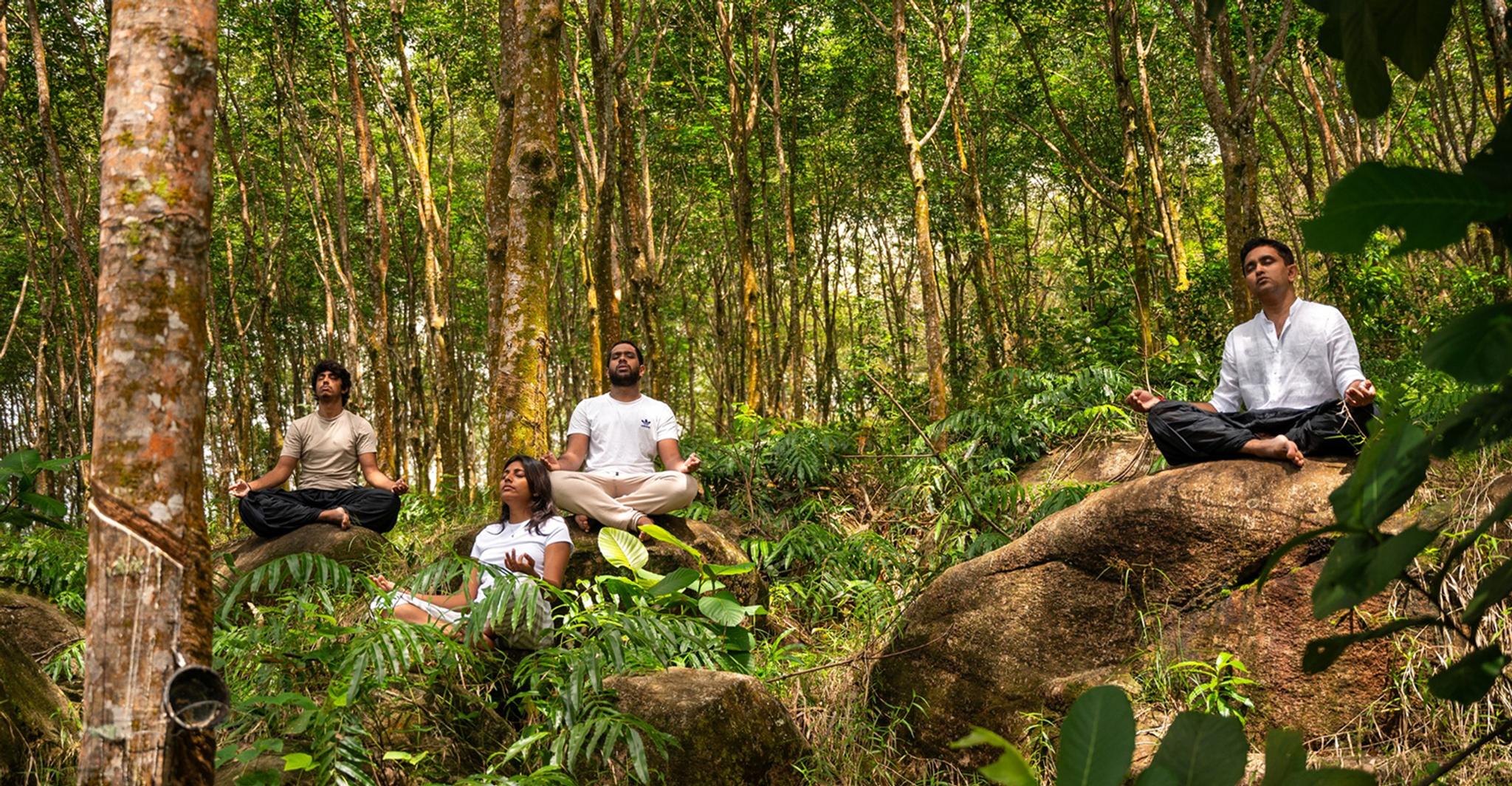 Guests enjoying guided meditation surrounded by nature