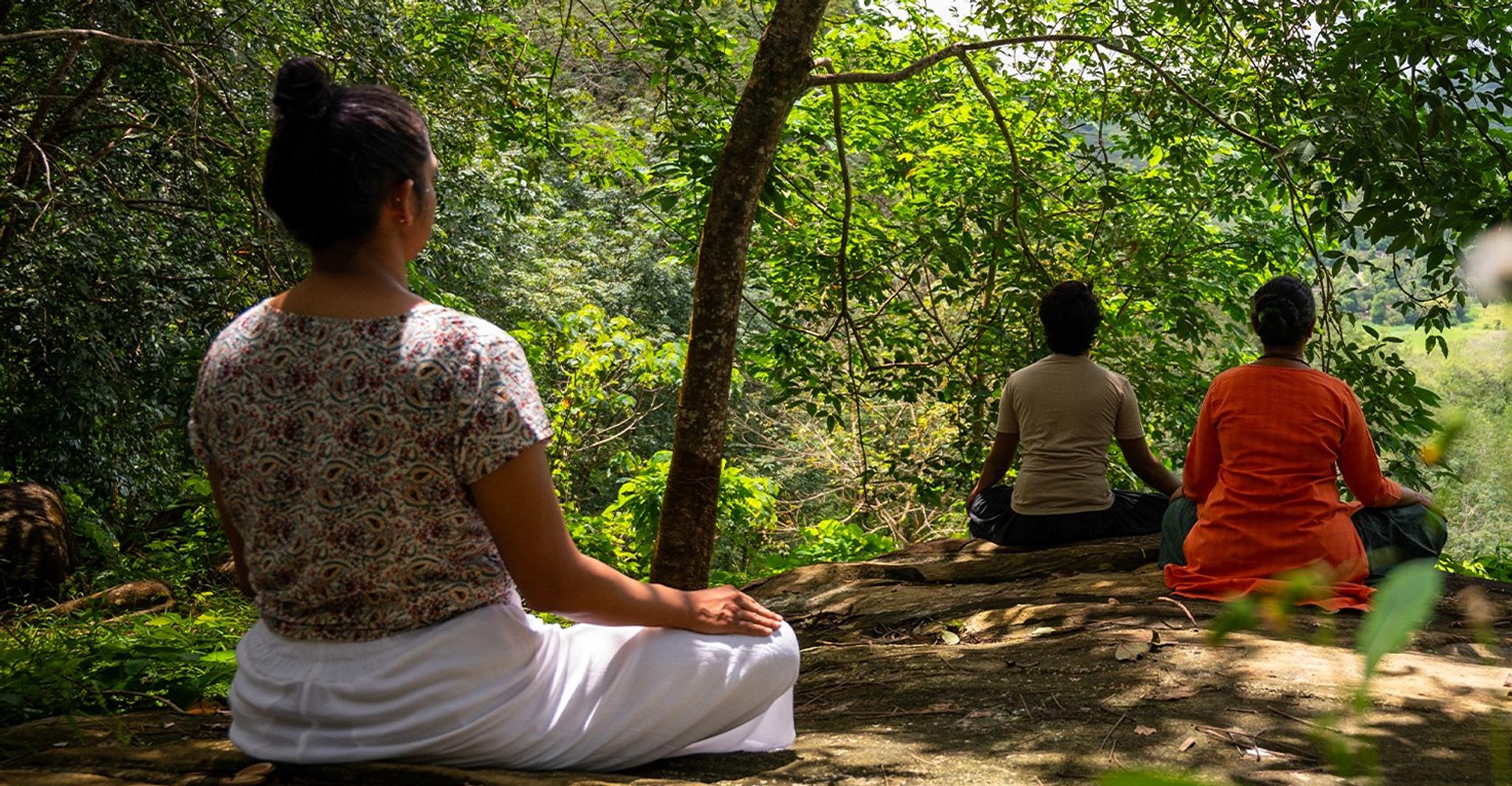 Guests enjoying guided meditation surrounded by nature